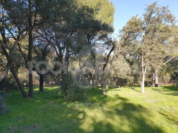 Terreno en Valdepastores - Las Encinas