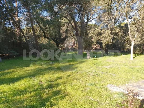 Terreno en Valdepastores - Las Encinas