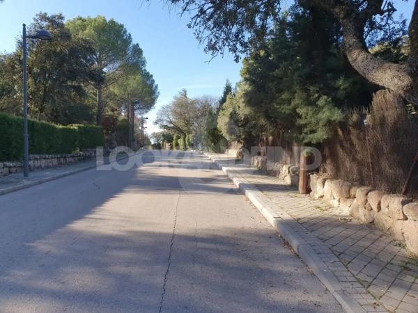 Terreno en Valdepastores - Las Encinas