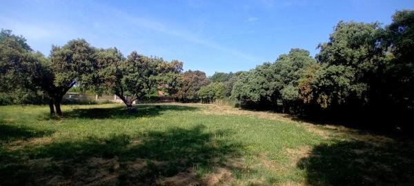 Terreno en avenida de los Canteros, 58
