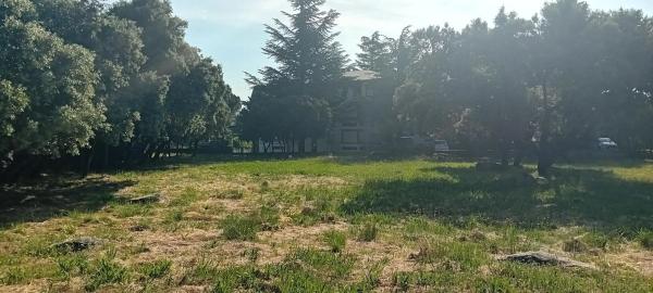 Terreno en avenida de los Canteros, 58