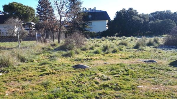 Terreno en avenida de los Canteros, 66