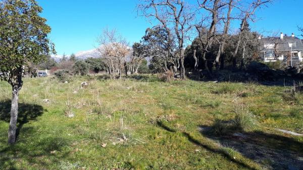 Terreno en avenida de los Canteros, 66