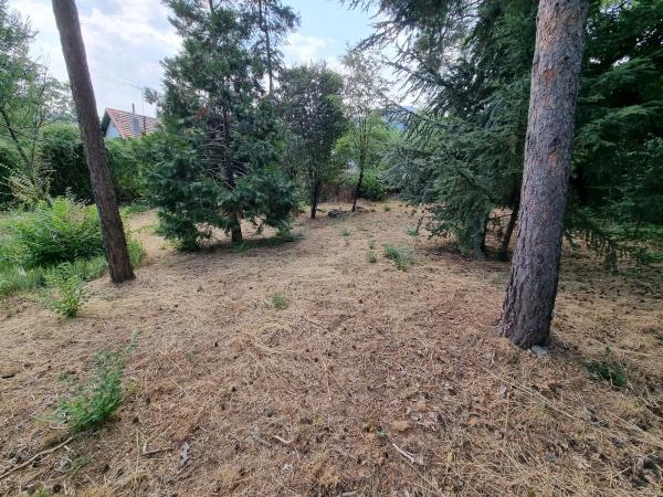 Terreno en camino de Santa María