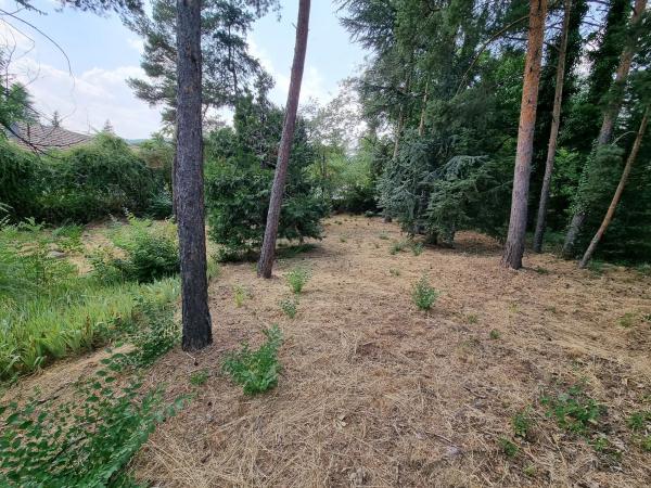 Terreno en camino de Santa María