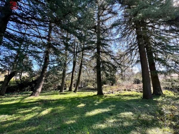 Terreno en Cercedilla