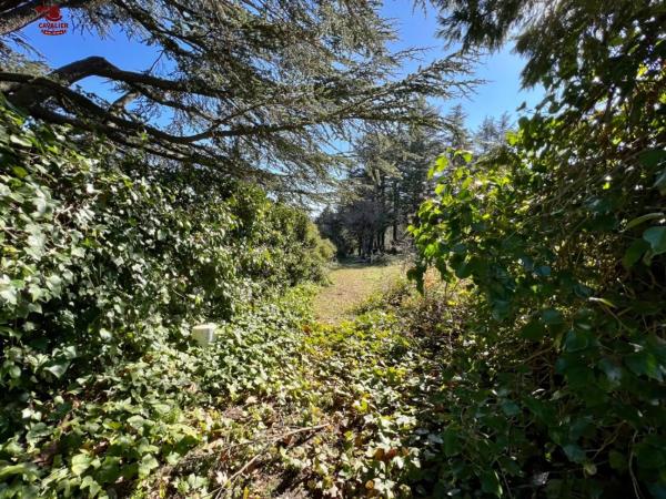 Terreno en Cercedilla