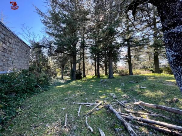 Terreno en Cercedilla