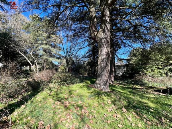 Terreno en Cercedilla