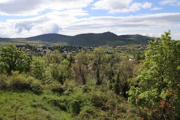 Terreno en avenida de Francisco Ruano, 9 a