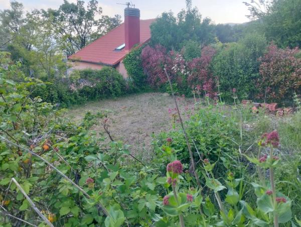 Terreno en avenida de Francisco Ruano, 9 a