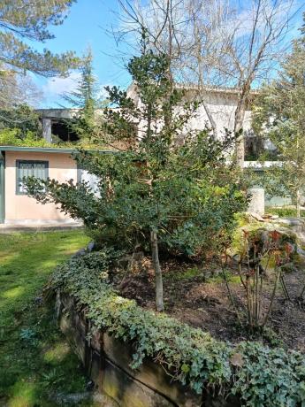 Terreno en Cercedilla