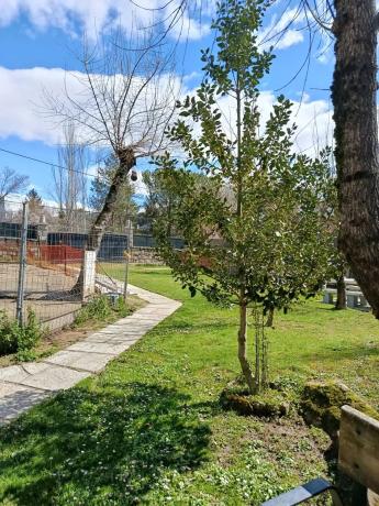 Terreno en Cercedilla