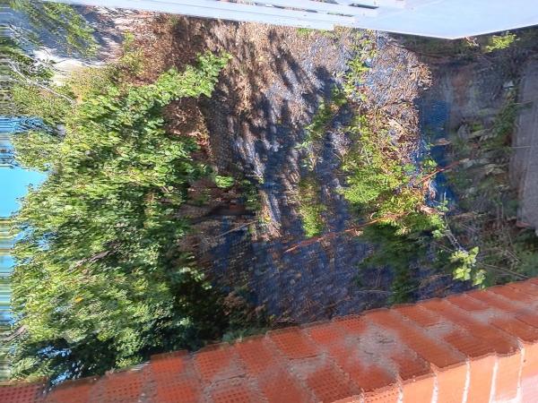 Terreno en calle Linares, 7