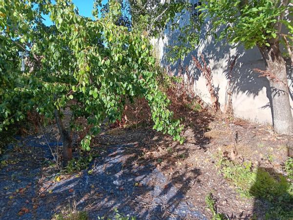 Terreno en calle Linares, 7