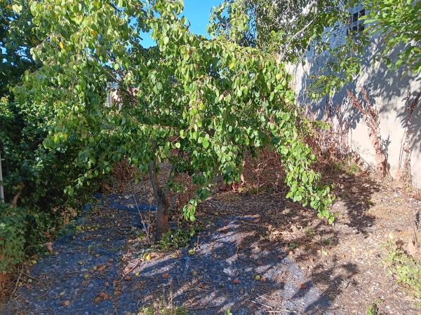 Terreno en calle Linares, 7