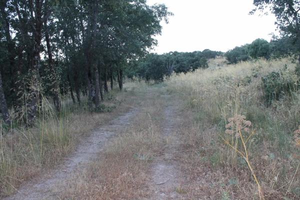 Terreno en camino del faro s/n