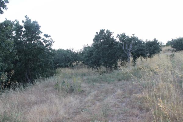 Terreno en camino del faro s/n