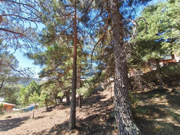 Terreno en calle Sierra del Castillo, 33