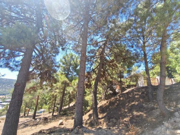 Terreno en calle Sierra del Castillo, 33