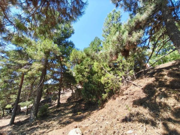 Terreno en calle Sierra del Castillo, 33