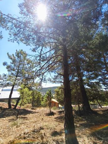 Terreno en calle Sierra del Castillo, 33