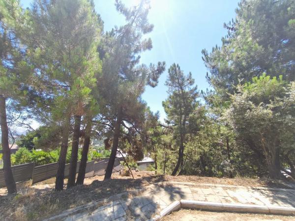 Terreno en calle Sierra del Castillo, 33