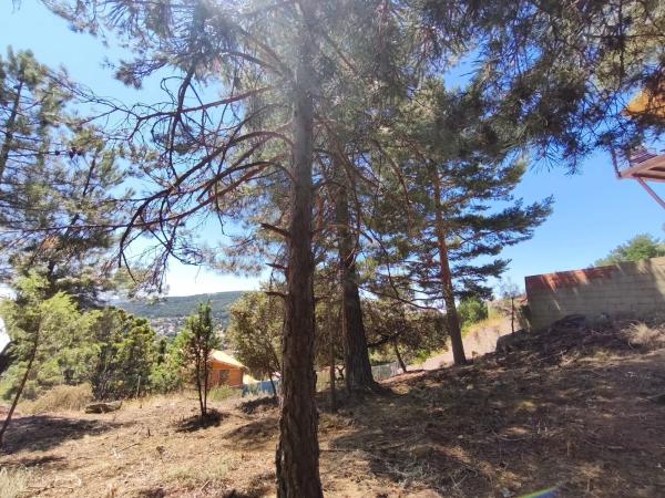 Terreno en calle Sierra del Castillo, 33