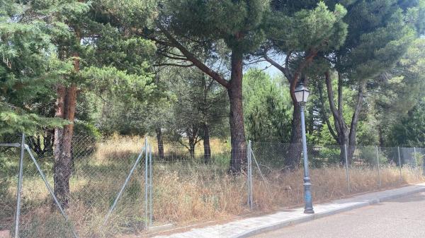 Terreno en camino de Navacerrada, 11