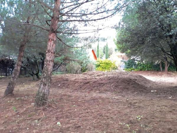 Terreno en camino de Navacerrada, 11