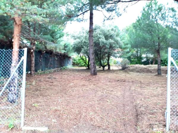Terreno en camino de Navacerrada, 11
