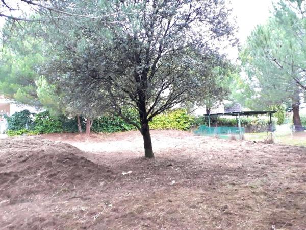 Terreno en camino de Navacerrada, 11