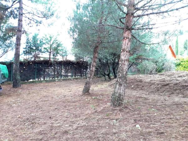 Terreno en camino de Navacerrada, 11