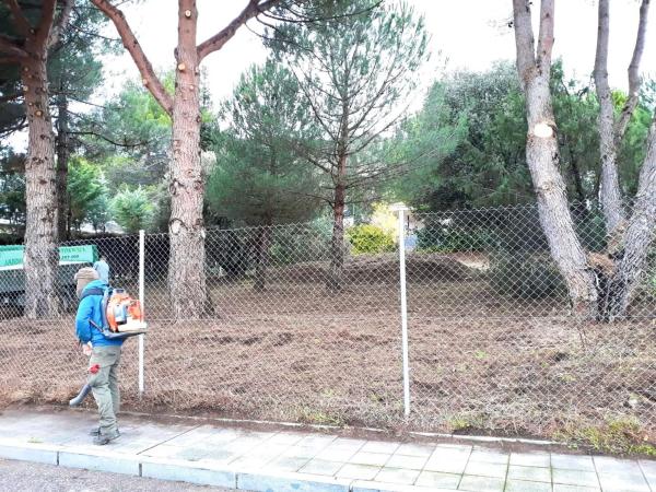 Terreno en camino de Navacerrada, 11