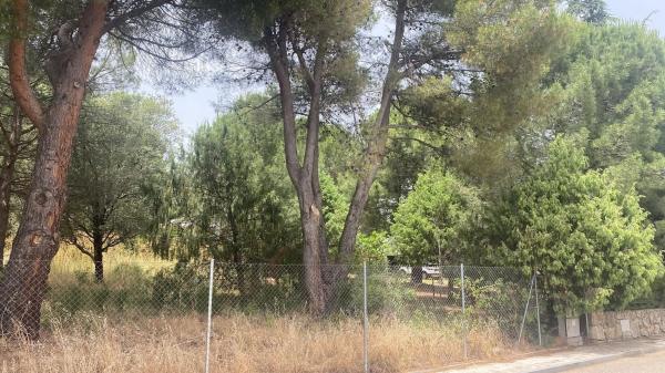Terreno en camino de Navacerrada, 11