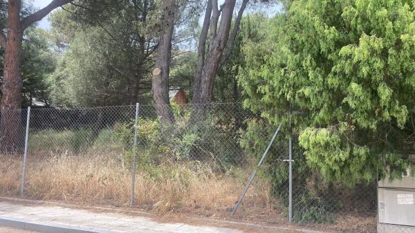 Terreno en camino de Navacerrada, 11