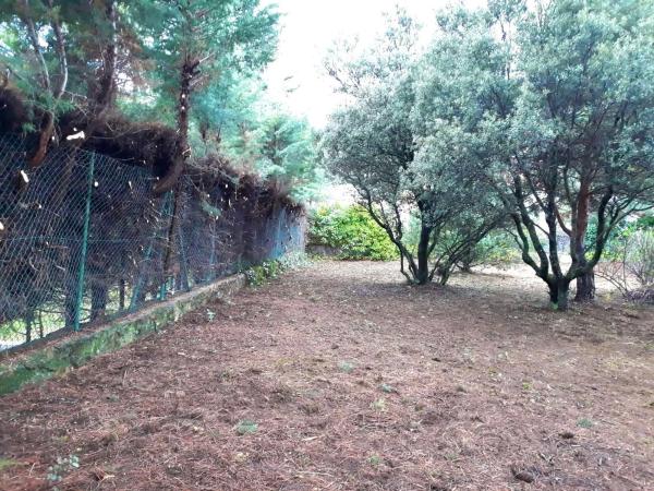 Terreno en camino de Navacerrada, 11