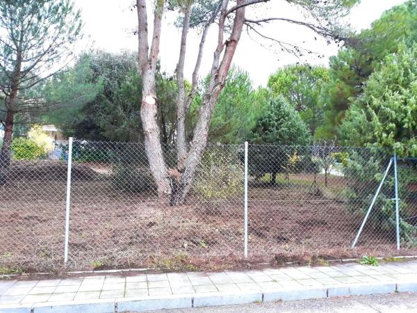 Terreno en camino de Navacerrada, 11