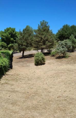 Terreno en calle de las pozas, 5