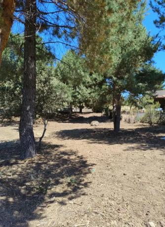 Terreno en calle de las pozas, 5