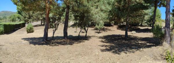 Terreno en calle de las pozas, 5