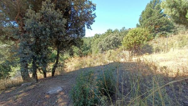 Terreno en calle de Ignacio