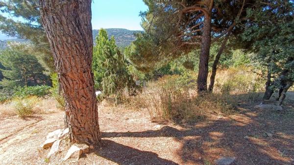 Terreno en calle de Ignacio