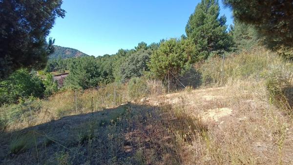 Terreno en calle de Ignacio
