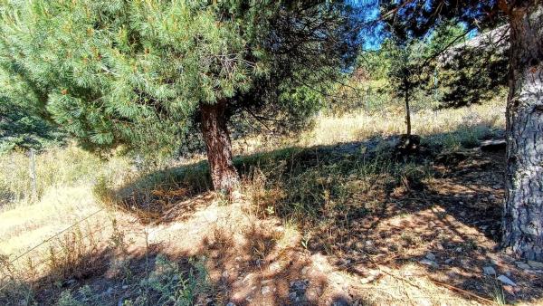 Terreno en calle de Ignacio