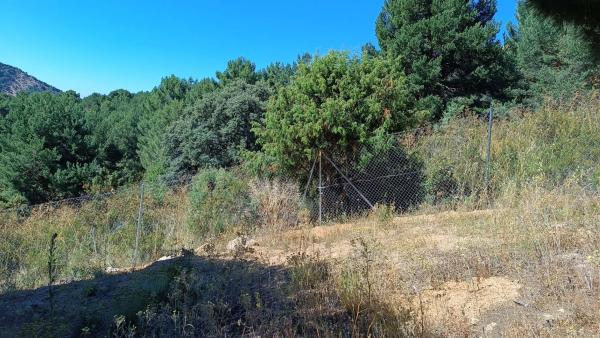 Terreno en calle de Ignacio