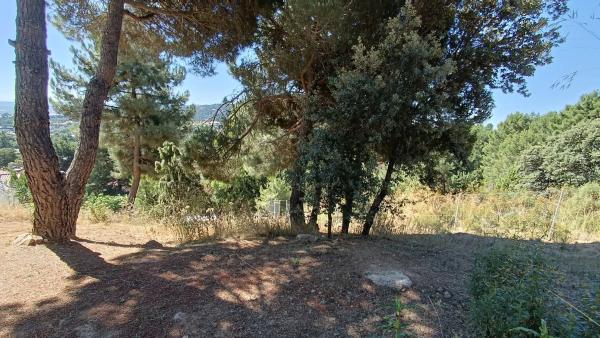 Terreno en calle de Ignacio