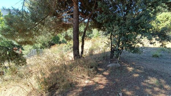 Terreno en calle de Ignacio