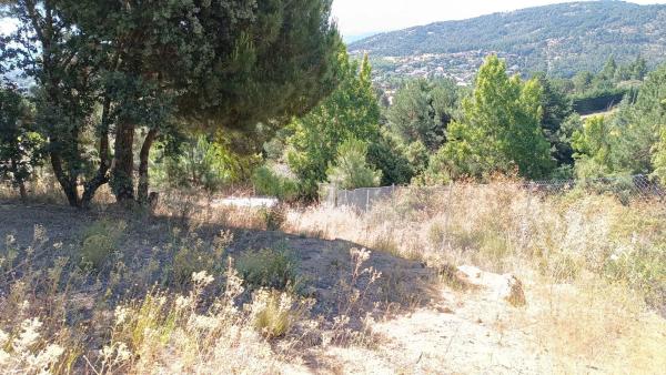 Terreno en calle de Ignacio