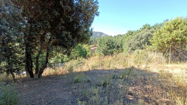 Terreno en calle de Ignacio